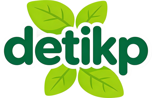 detikp